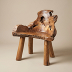 WS14 - Teak Root 1 Seat Bench