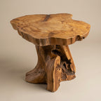 WS221 - Teak Root Side Table/Stool