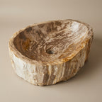 WS46S1 - Petrified Wood Polished Top