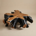 WS12 - Teak Root Coffee Table with Black Stain