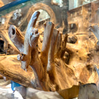 DT02 - Teak Root Dining Table