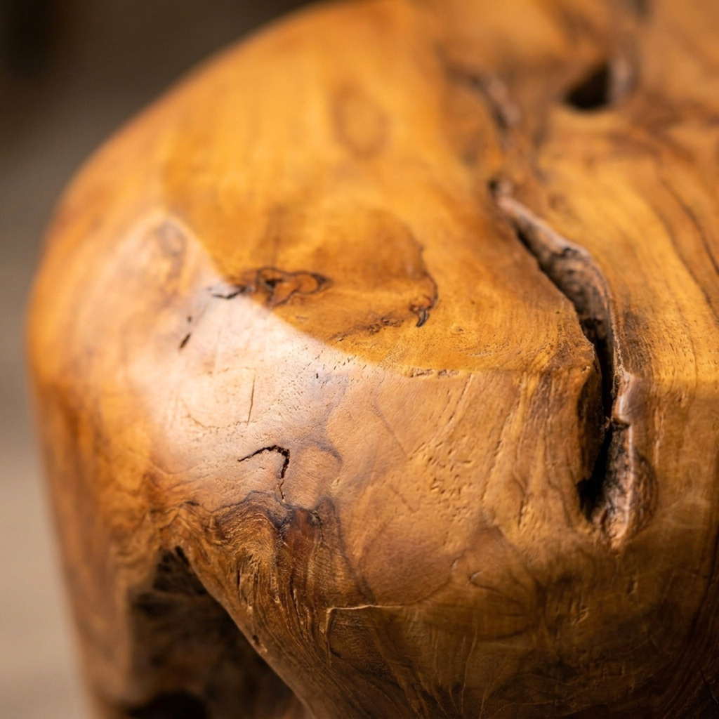 WS212 - Teak Root Stool Free Form