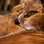WS14 - Teak Root 1 Seat Bench