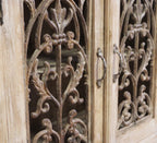 WS16 - Reclaimed Wood 2-Door Cast Iron Fitted Cabinet
