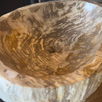 WS46S1 - Petrified Wood Polished Top