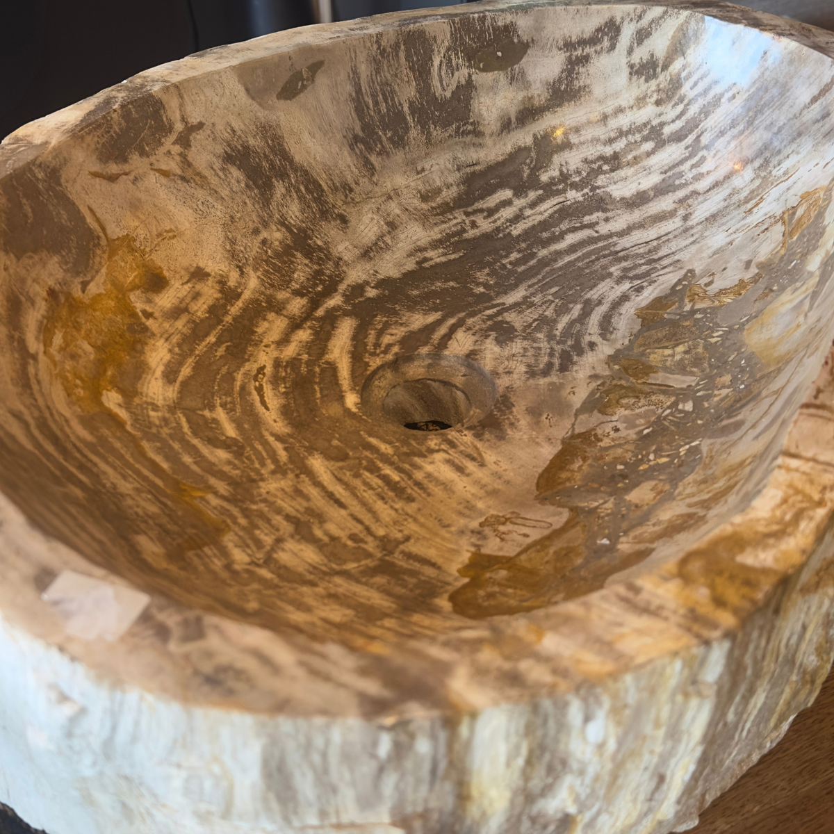 WS46S1 - Petrified Wood Polished Top