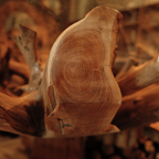 WS1 - Teak Root Console Table