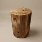 WS182 - Teak Root Free Form Side Table
