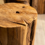 WS182 - Teak Root Free Form Side Table