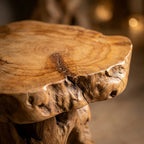WS221 - Teak Root Side Table