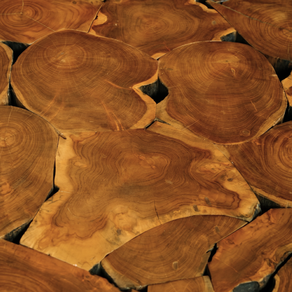 WS9 - Teak Root - Rounded Coffee Table