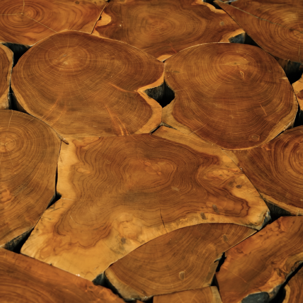 WS9 - Teak Root - Rounded Coffee Table